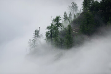 Vivid sunrise in the mountains with fog in the valley. Fog rolled through the valleys below the hills. 