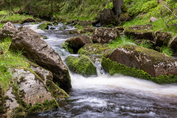 Fototapeta premium waterfall in the forest