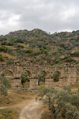 Fototapeta na wymiar the ruins of the aqueduct