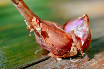 thai red shallot recipe for making thai food