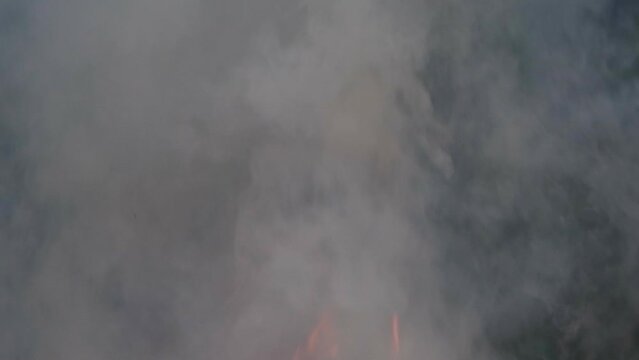 Close up view on thick smoke from wild fire or forest fire. Slow motion full HD video of fire smoke.