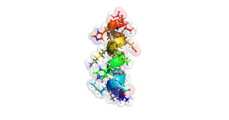 Alpha helix of a protein molecule, 4K