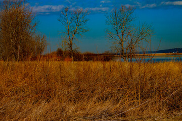 Obraz premium sunset in the forest