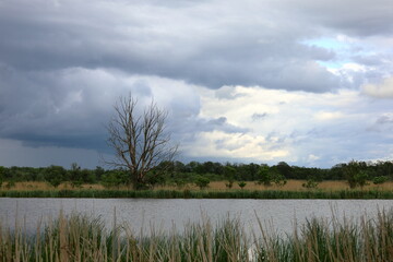 clouds over the river