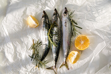 Raw saltwater fish Mackerel with lemon