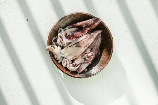 Fresh squid calmari on white  background