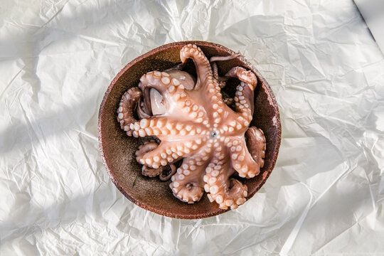 Octopus is raw, ready to cook. Creative concept of healthy food with photos of delicious seafood