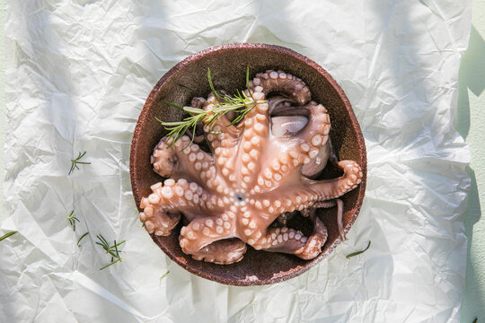Octopus is raw, ready to cook. Creative concept of healthy food with photos of delicious seafood