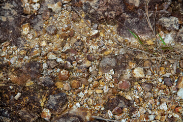 stone on the beach