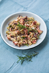 fresh and tasty true Greek kritharaki with octopus