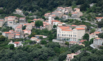 Fototapeta premium Ota...corse