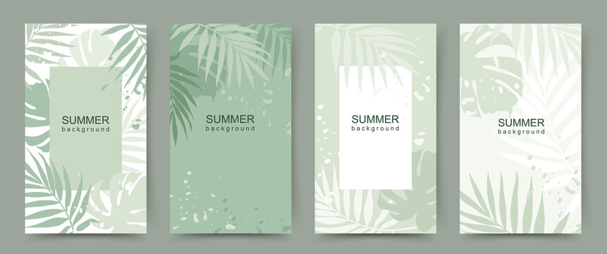Summer green background with tropical palm leaves. Abstract banner with jungle  theme. Set of backgrounds for social media post, sale, flyer, postcard, poster