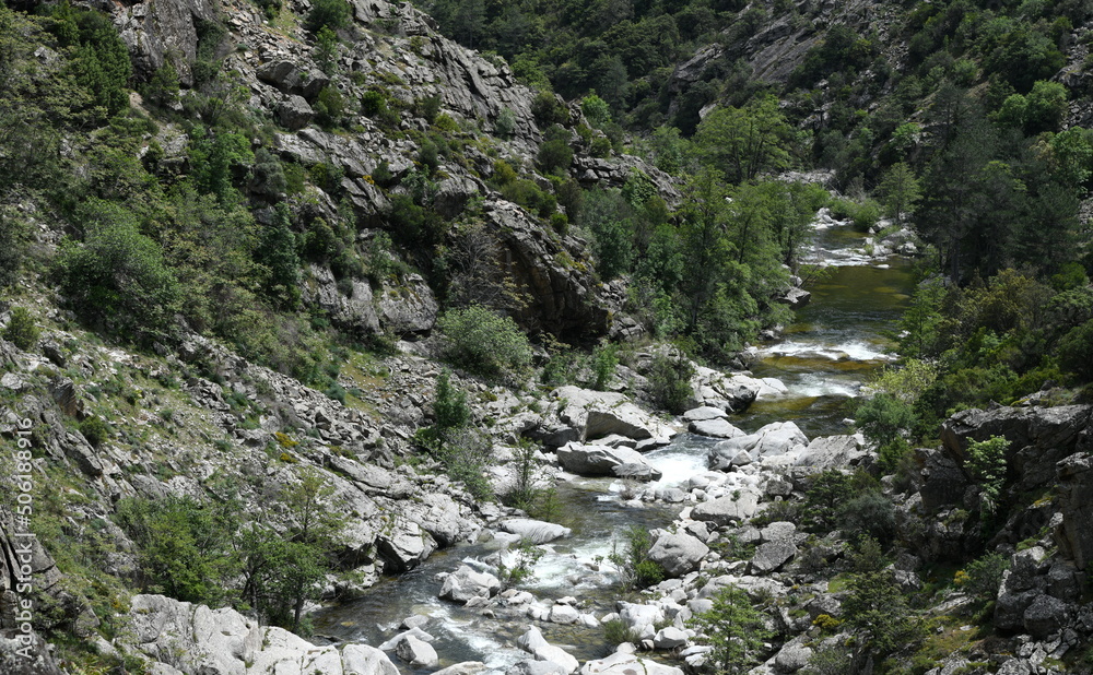 Canvas Prints corse...rivière