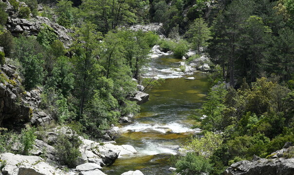 Corse ...rivi&egrave;re