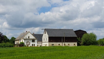 Fototapeta na wymiar Straußenhof Striegistal