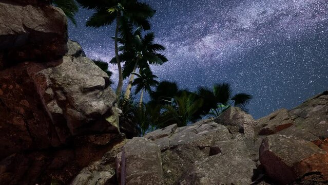 4K hyperlapse star trails over sandstone canyon walls and palms