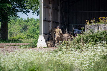army soldiers on a military exercise in summer sunshine 