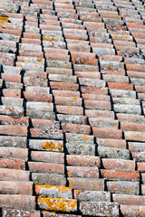 lichen covered interlocking roof tiles 