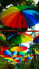 Fototapeta na wymiar Rainbow Umbrella street decoration