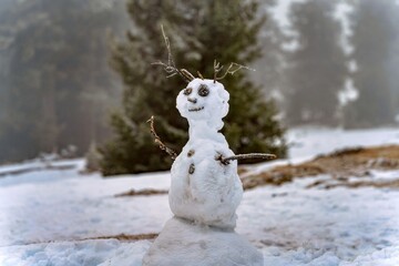snowman on the snow