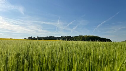 Einfach Natur pur - Mitten in der Natur, Landleben, Wald, Feld, Wiese, Acker, Landwirtschaft,...