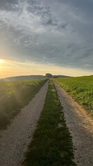 Ein wunderschöner Wanderweg am frühen Morgen bei Sonnenaufgang. - Mitten in der Natur, Landleben, Wiesen, Felder, Acker, Landwirtschaft, Wald, Forst