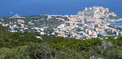 Naklejka premium Calvi