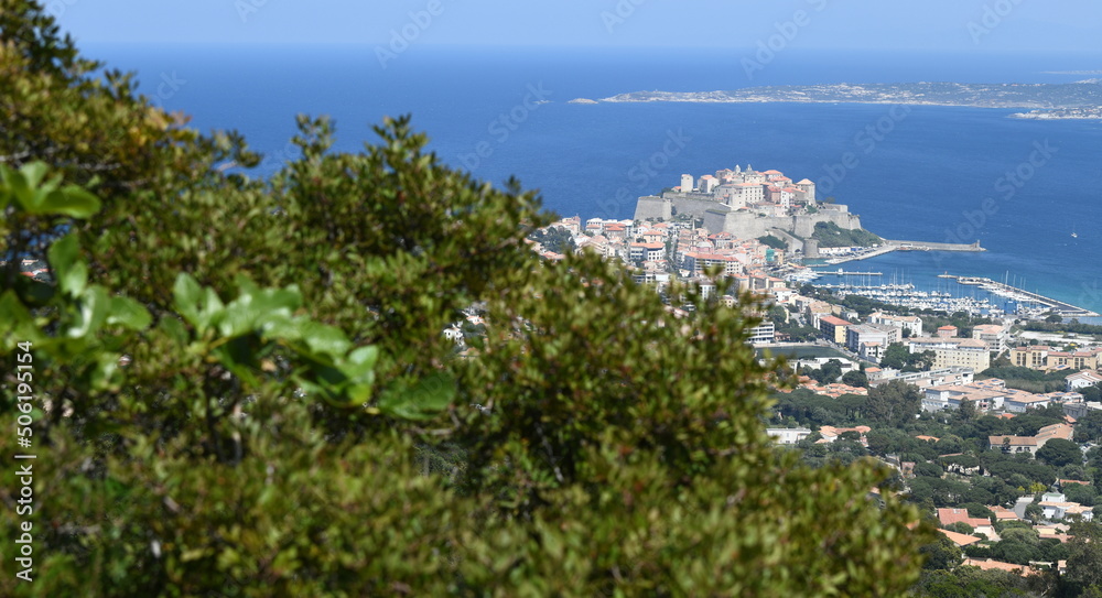 Canvas Prints calvi