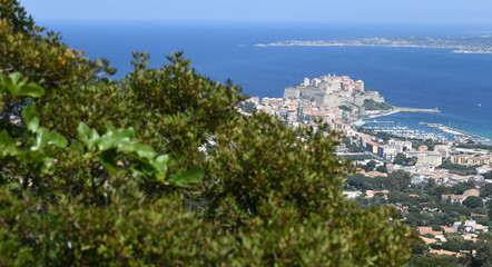 Fototapeta premium Calvi