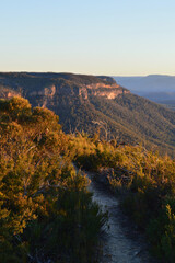 A walking trail in the Blue Mountains of Australia