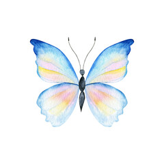 Hand drawn watercolor bright colorful realistic butterflies.Mixed media art.