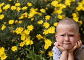 Close-up portrait of a bright boy on a background of yellow flowers. Space for text. Thoughtful child. Concept for advertising: education, kindergarten, school