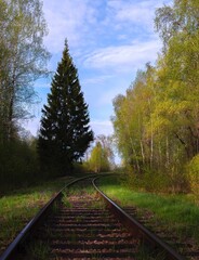 Fototapeta premium The railway that greets long journeys deep in the forest. Istanbul Turkey