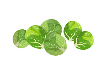Brussels sprouts, flat style vector illustration isolated on white background