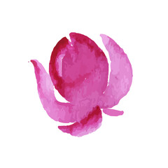 Flower icons isolated on white background. Logo sign design. Modern brush watercolor illustration. Vector