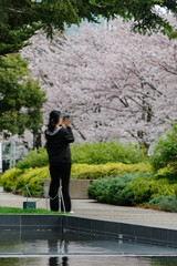 Fototapeta na wymiar 桜が満開