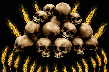 Skull and ears on a black background. An illustration on the topic of a possible world famine due to the blockade of Ukrainian ports by Russian ships. Famine in Africa - obrazy, fototapety, plakaty