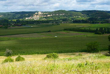 Naklejka premium paysage
