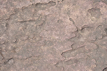 beautiful patterned stone floor was eroded by water and wind.