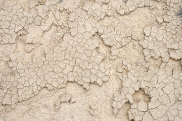 cracked soil background from drought