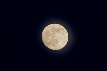 Fototapeta premium Moon Light