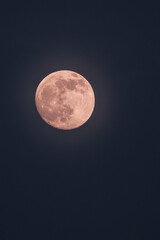 Obraz premium Moon Light