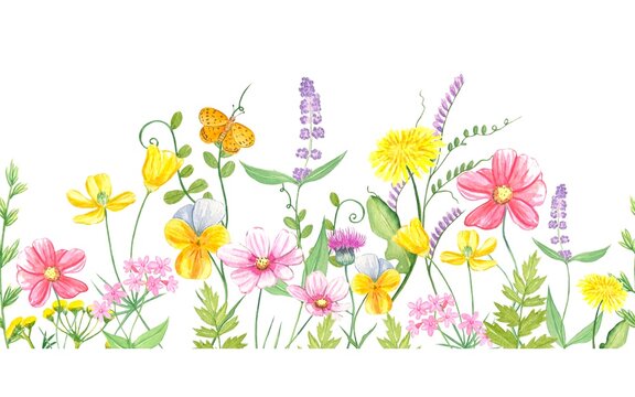 Watercolor floral seamless border with colorful wildflowers, leaves.