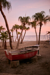 Old wooden boat by the sea among palm trees.  