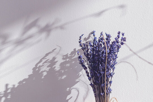Female Hands Holding Dry Lavender Flowers Bunch. Back View Stock Image -  Image of love, aromatic: 163286993