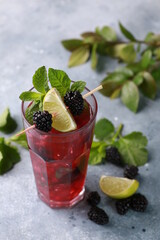 Summer. Drinks and cocktails. Mojito diablo. Beverage with grapefruit, blackberries and currants with ice and fresh mint in a glass on a light background. Summer. Background image, copy space