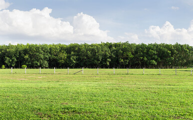 Empty dry cracked swamp reclamation soil, land plot for housing construction Green meadow, beautiful views and beautiful blue sky with fresh air Land for sales landscape concept. © Puttachat