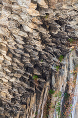 Basalt columns Symphony of Stones near the shore of the river Azat near the village Garni, Armenia.Tourism landmark in Armenia