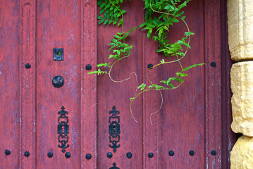 porte et feuillage