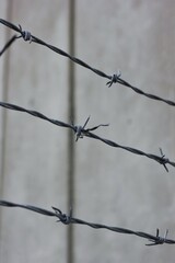 barbed wire fence